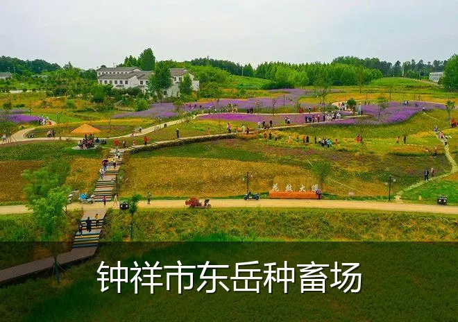钟祥市东岳种畜场