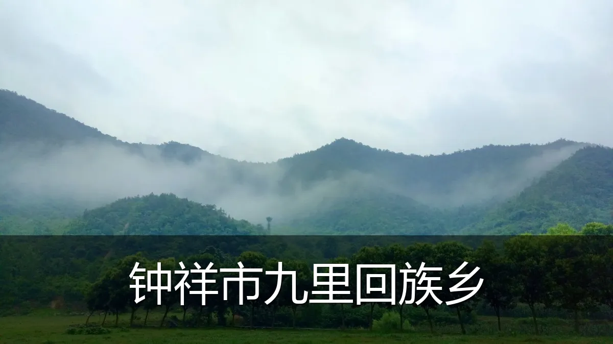 钟祥市九里回族乡