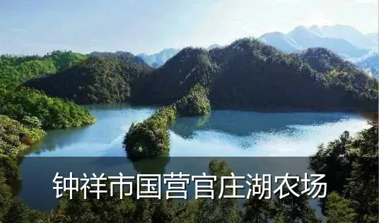 钟祥市国营官庄湖农场