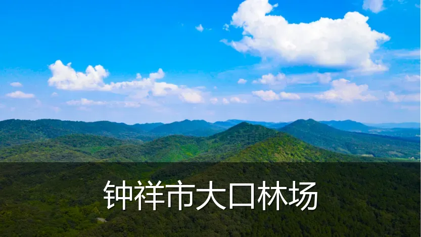 钟祥市大口林场