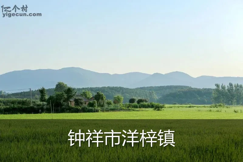 钟祥市洋梓镇
