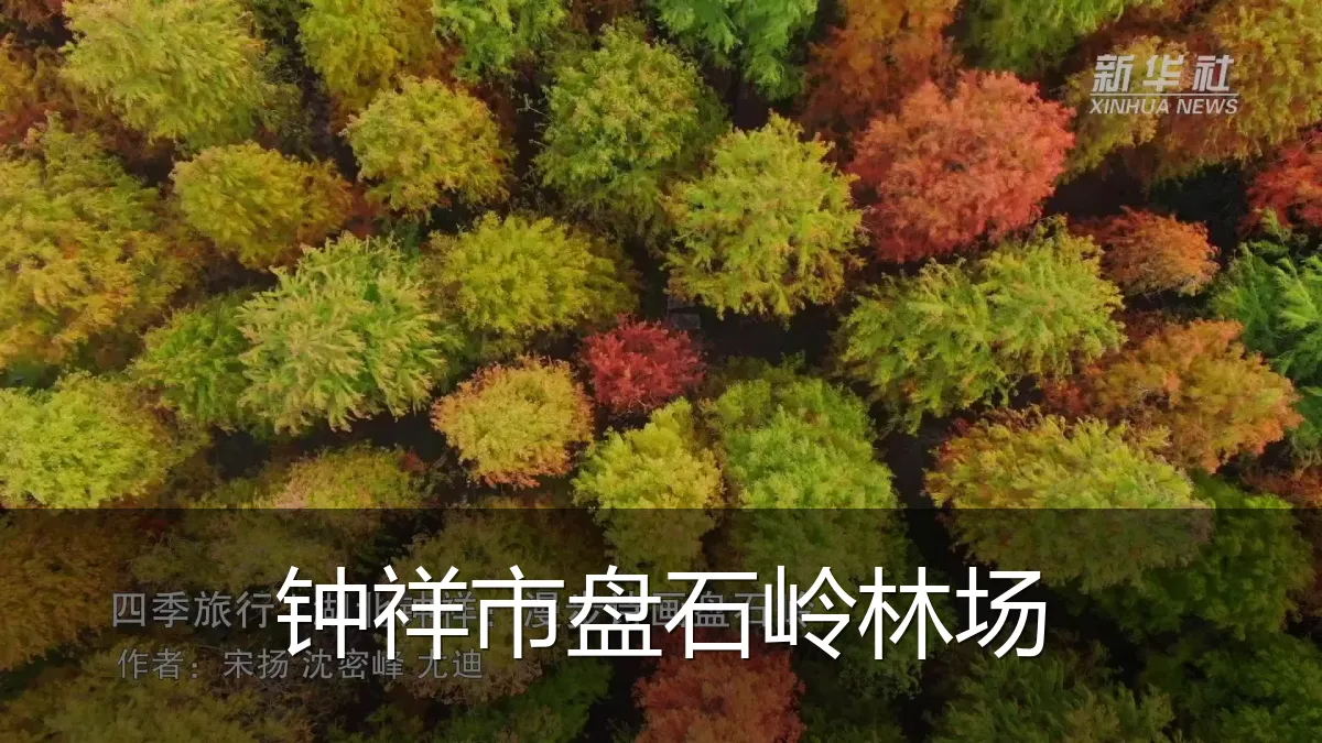 钟祥市盘石岭林场