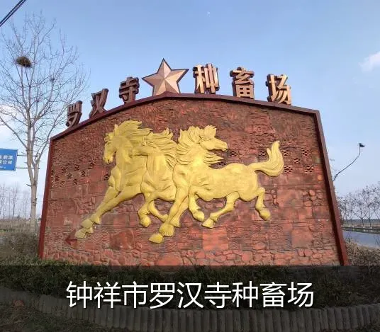 钟祥市罗汉寺种畜场
