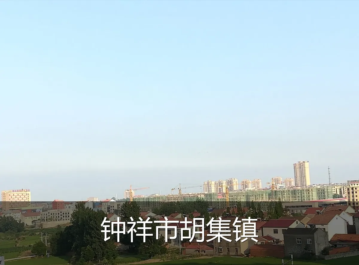钟祥市胡集镇
